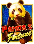 แนะนำ casino xo สุดมันส์ที่คุณไม่ควรพลาด